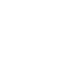 icon1